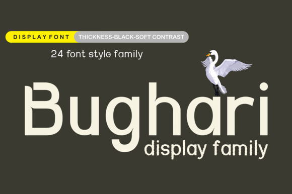 Bughari: The Premium Display Font for Modern Web Design